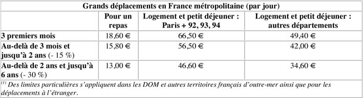 Grands déplacements en France métropolitaine par jour